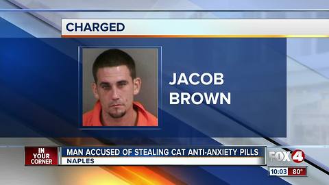 Man Accused of Stealing Cat Anti-Anxiety Pills