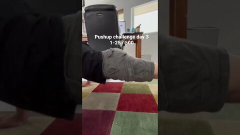 Day 3 Pushup challenge