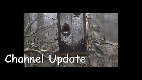 Rainy Day Channel Update