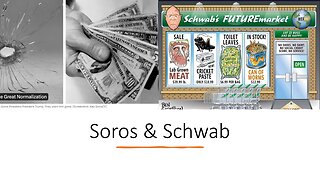 Soros and Schwabb