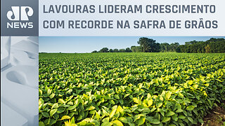 Ministério da Agricultura reduz valor bruto da produção agropecuária em 2023 para R$ 1,148 trilhão