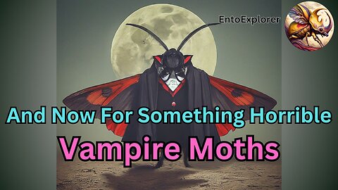 And Now For Something Horrible - Vampire Moths