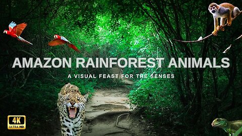 Amazon Rainforest Animals in 4K: A Visual Feast for the Senses #4k #amazonforest