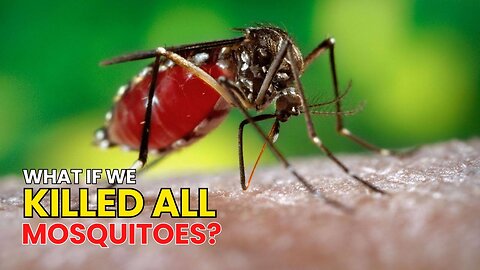 What If We Killed All Mosquitoes?