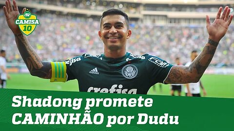 SHANDONG promete CAMINHÃO de DINHEIRO por Dudu