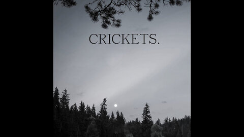 Cricket Conversations - Sleep Soundly to Charming Crickets