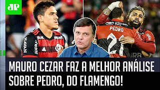 "Gente, o Pedro ESCOLHEU ISSO!" Mauro Cezar faz a MELHOR ANÁLISE sobre o atacante do Flamengo!