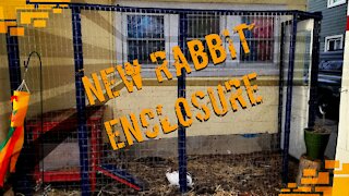 New Rabbit Enclosure