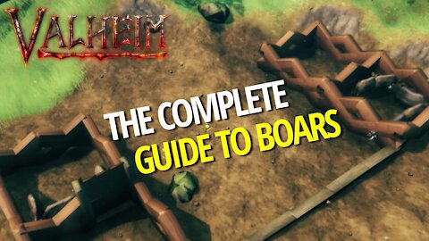 Complete Guide To Boars - Valheim