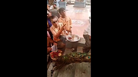 Lord Muruga's Peacock in Temple-TN