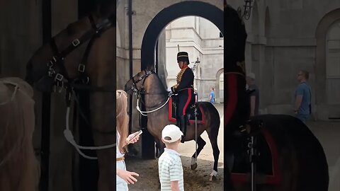 Horse turns inside the box #horseguardsparade