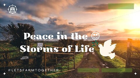 Looking For Peace In The Stormy Days Of Life? Check Out This Video For A Special Message From God!