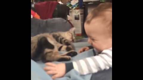 Babies playing with Cats Together, very Funny Pets Videos. Part - I.