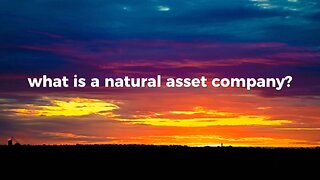 What is a Natural Asset Company?