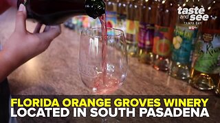 Florida Orange Groves Winery | We're Open