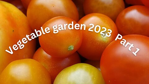 Summer Vegetable Garden 2023 # all types of Summer Veggies
