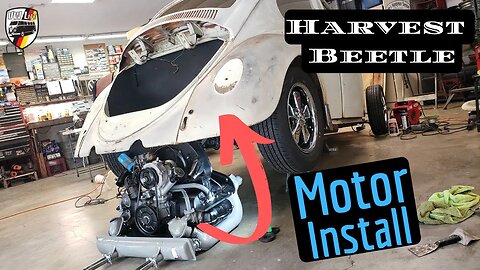 Harvest Beetle Motor Install !
