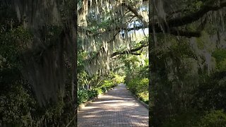 The Red Brick Road in the Golden Hour 05 #shorts