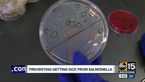 As beef salmonella recall expands, a look at researchers working on prevention