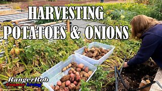 Harvesting Potatoes & Walla Walla Onions