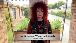 A Mixture of Wheat and Weeds