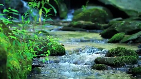 15 MINUTES of Flowing Water and Nature Sounds - Mindfulness Meditation Relaxing Soothing