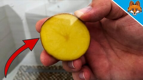 Rub a POTATO over your Shower and WATCH WHAT HAPPENS 💥 (Ingenious TRICK) 🤯