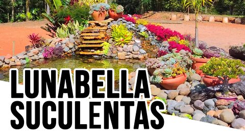 Lunabella Suculentas - Rota do Enxamel - Pomerode - Santa Catarina