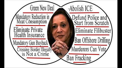 All The Reasons Communists Will Vote For Harris