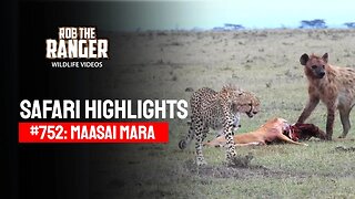 Safari Highlights #752: 9th February 2023 | Lalashe Maasai Mara | Latest Wildlife Sightings