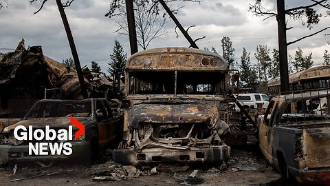 Jasper wildfire: What does it take to rebuild after a devastating blaze?|News Empire ✅