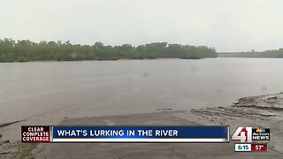 Kansas Riverkeeper finds strange things lurking in the water