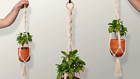 Macrame Plant Hanger For Beginners (Easy DIY Tutorial!)