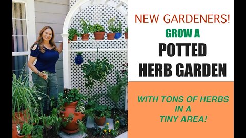 Grow a POTTED HERB COCKTAIL GARDEN - (65 + Herb Plants) in a Small Garden /Shirley Bovshow