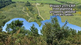 5 years later 211 Acre Southern Illinois Project property update
