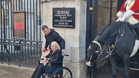 Disabled tourist strokes the horse #horseguardsparade