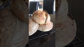 #shorts Baking sourdough with a vessel