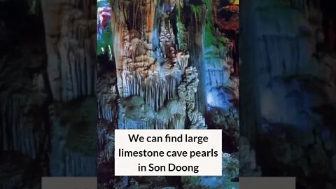 Quick Facts About Son Doong Cave - #shorts