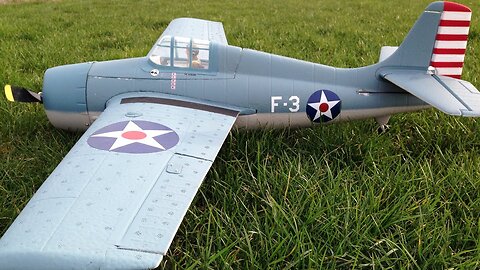 Parkzone F4F Wildcat WWII Warbird RC Plane BNF with Sony Handycam