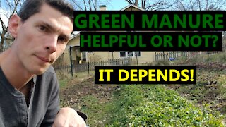2 Considerations for Whether To Use Green Manure When Planning Your Garden!