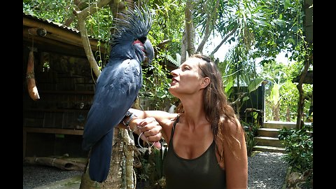 Encounter with Animals in Bali