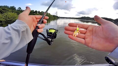 This is SO Much FUN - Popping Bug Pan Fishing