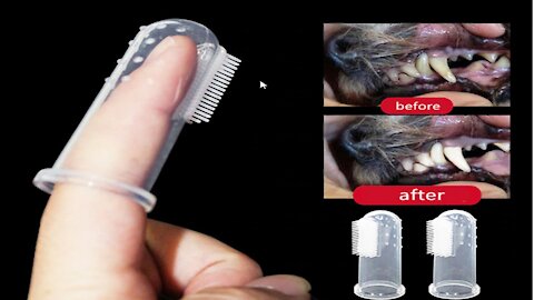 Super Soft Pet Finger Toothbrush Teddy Dog Brush Bad