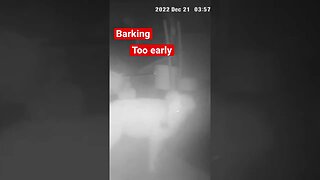 Stopped dog barking over security camera. Very effective.