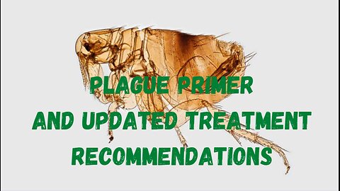 PLAGUE primer and updated treatment recommendations with Christina Nelson, MD