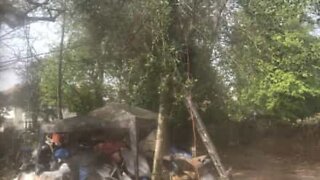 Tree cutting ends in painful fall