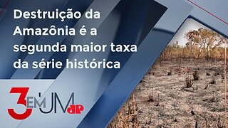 Governo Lula registra recorde de desmatamento no Cerrado no primeiro trimestre