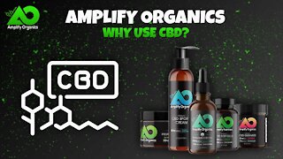 Why Use CBD? | Amplify Organics