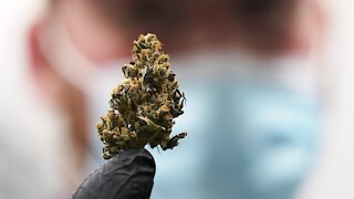 Connecticut Becomes 18th State To Legalize Recreational Marijuana