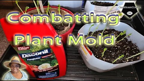 Combatting #Plant #Mold #fungus - #catshobbycorner